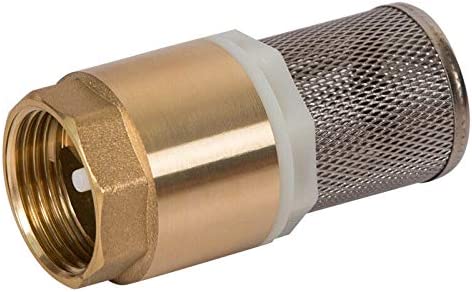 check valve with filter