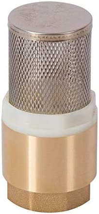 check valve with filter