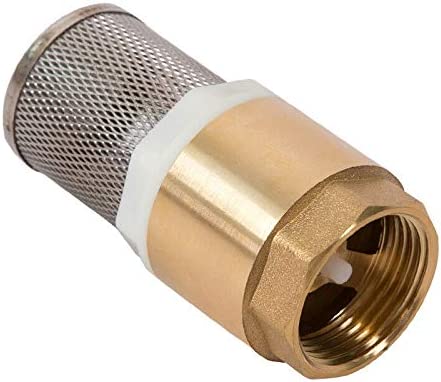 check valve with filter