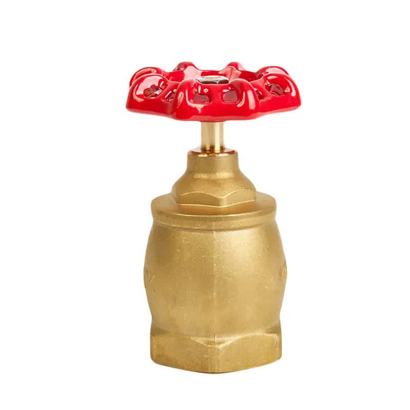 Hydrant Fire Valve0955i